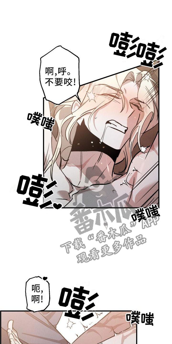 《偷心花园》第10章薰衣草花园出乎意料 第8页