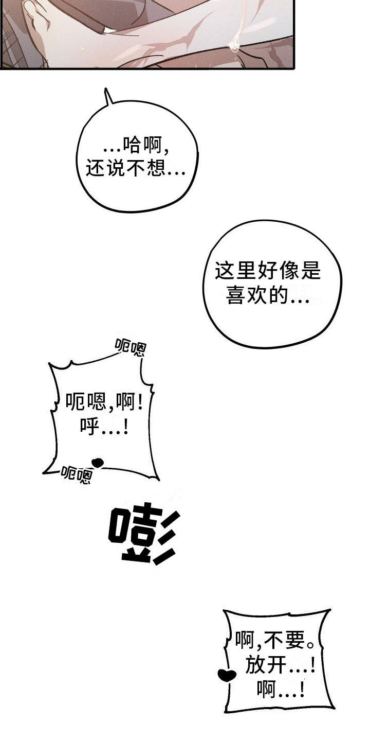 《偷心花园》第10章薰衣草花园出乎意料 第9页