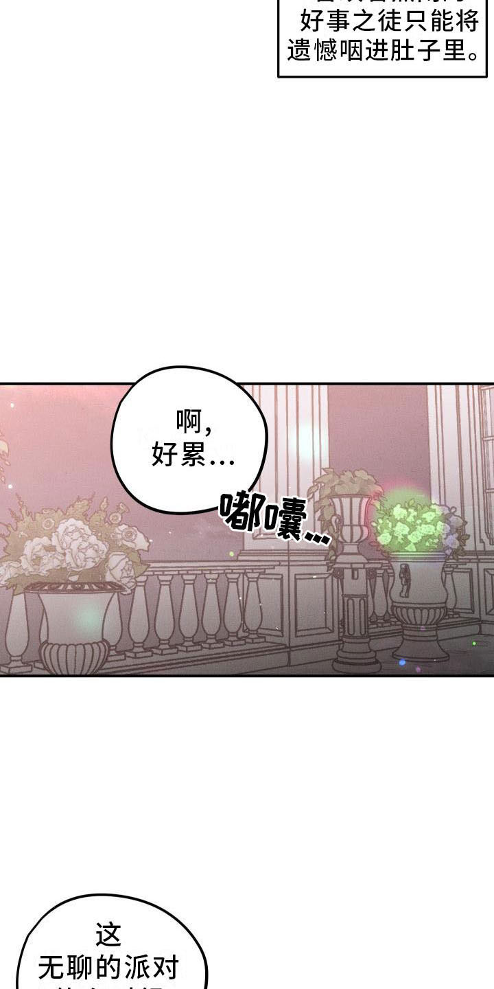 《偷心花园》第13章薰衣草花园拥抱幸福（完） 第14页
