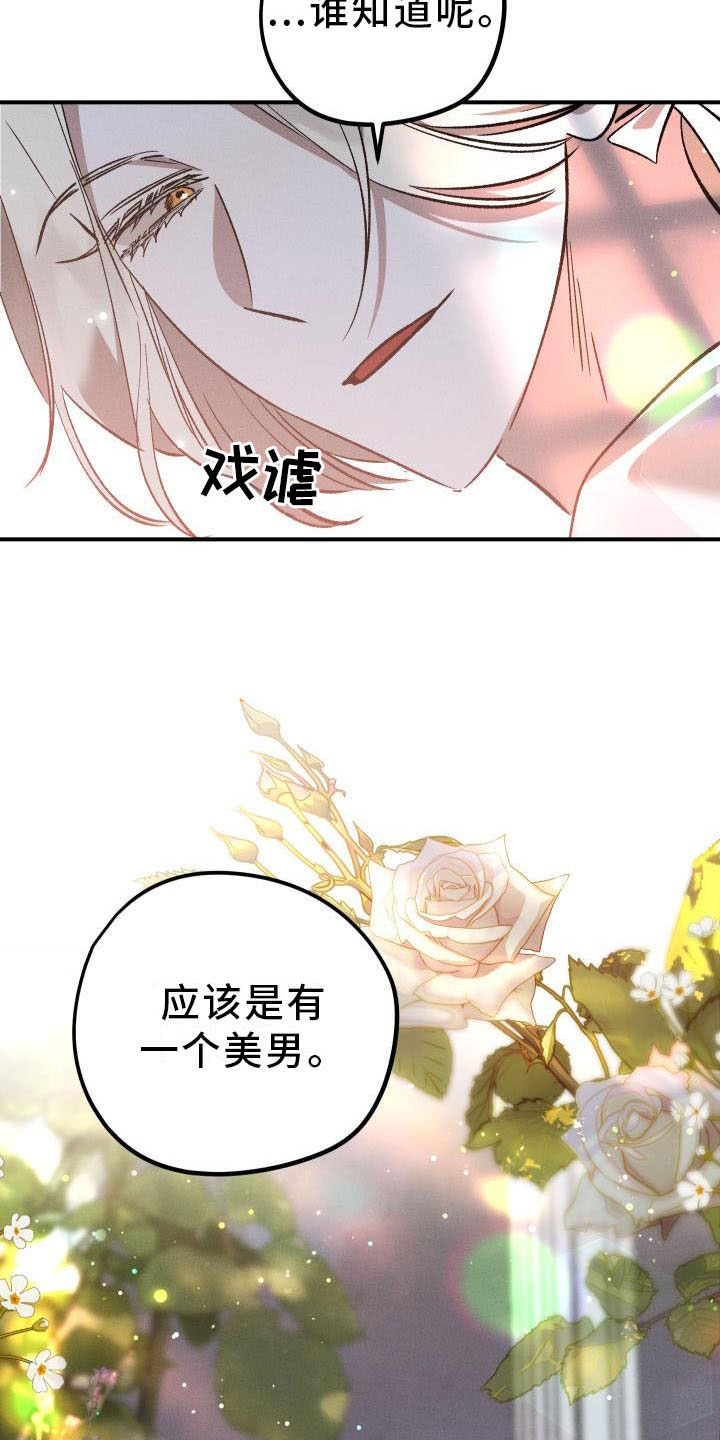 《偷心花园》第13章薰衣草花园拥抱幸福（完） 第16页