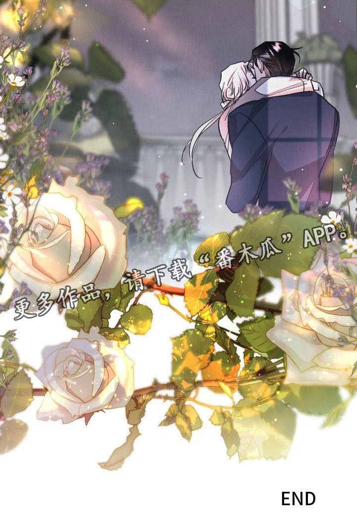 《偷心花园》第13章薰衣草花园拥抱幸福（完） 第17页