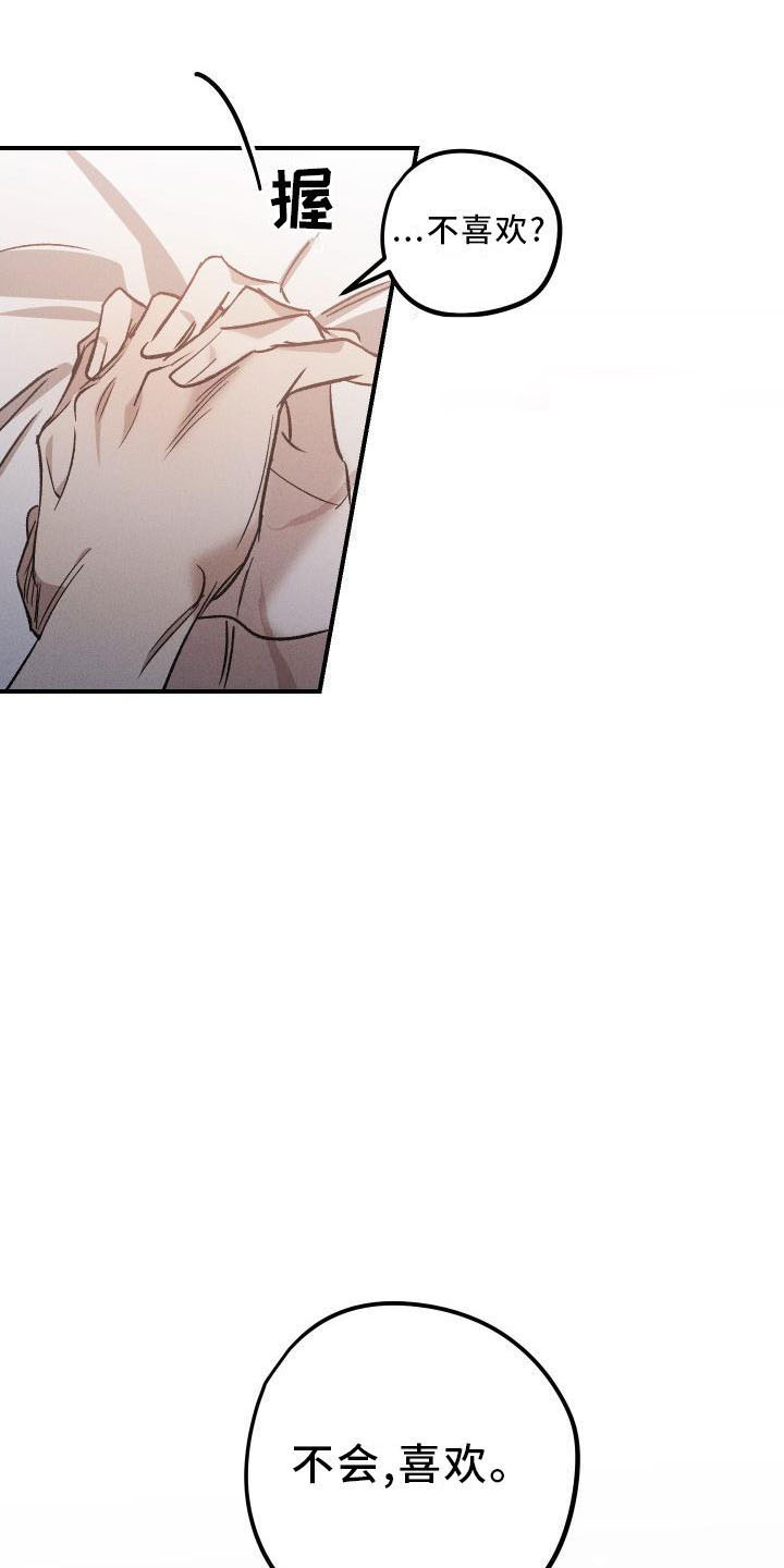 《偷心花园》第12章薰衣草花园喜欢 第11页