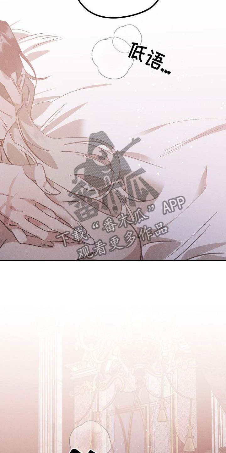 《偷心花园》第12章薰衣草花园喜欢 第12页