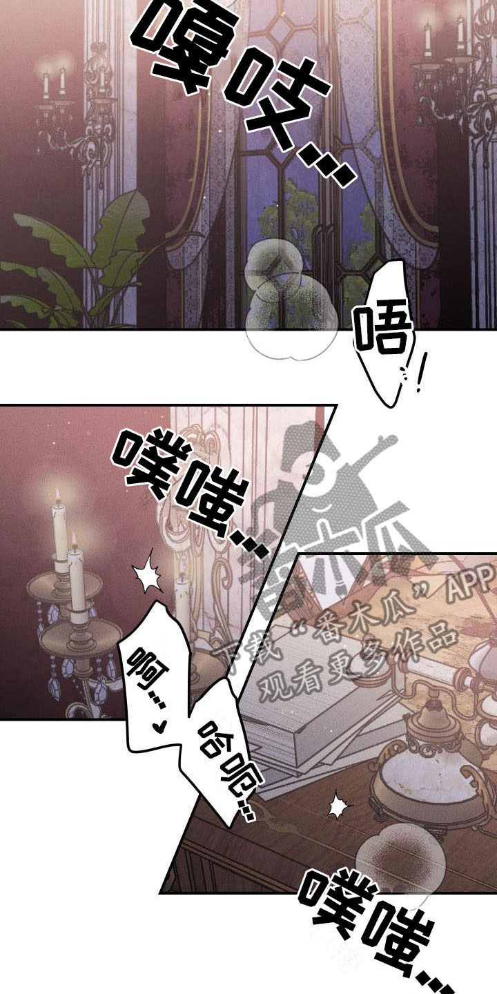 《偷心花园》第12章薰衣草花园喜欢 第13页