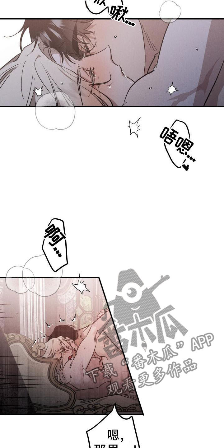 《偷心花园》第12章薰衣草花园喜欢 第16页