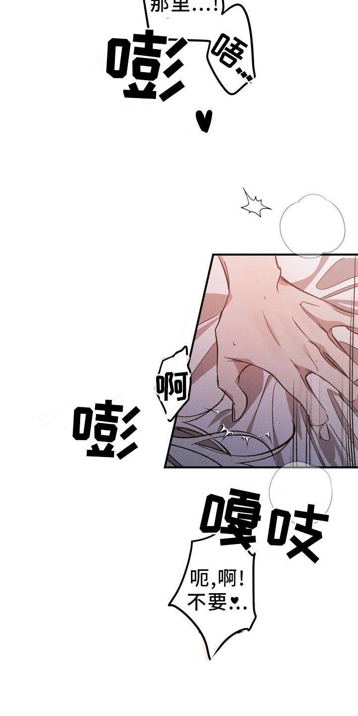 《偷心花园》第12章薰衣草花园喜欢 第17页