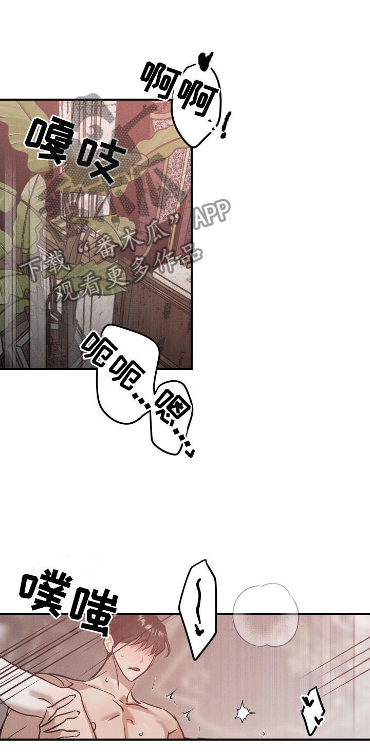 《偷心花园》第12章薰衣草花园喜欢 第20页