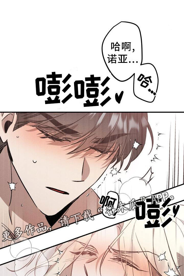 《偷心花园》第12章薰衣草花园喜欢 第21页