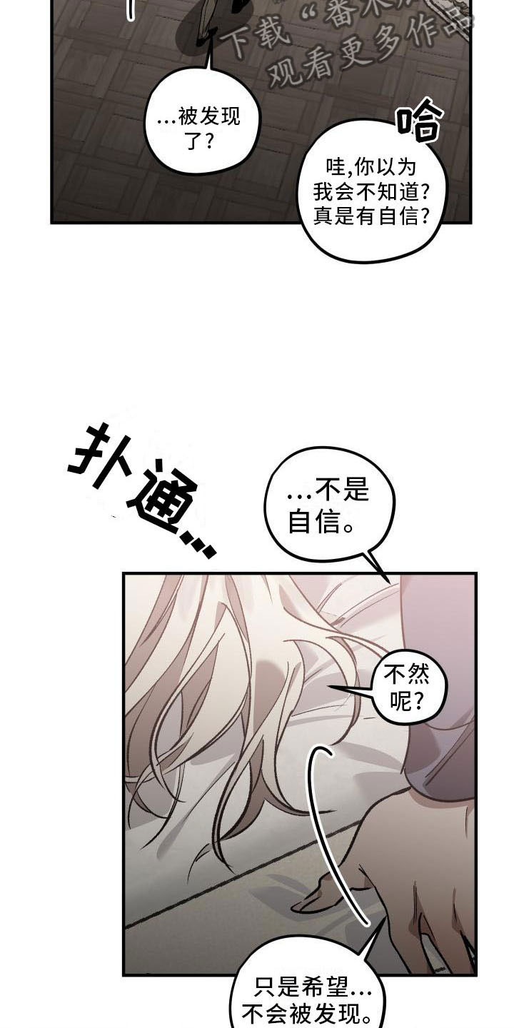 《偷心花园》第12章薰衣草花园喜欢 第5页