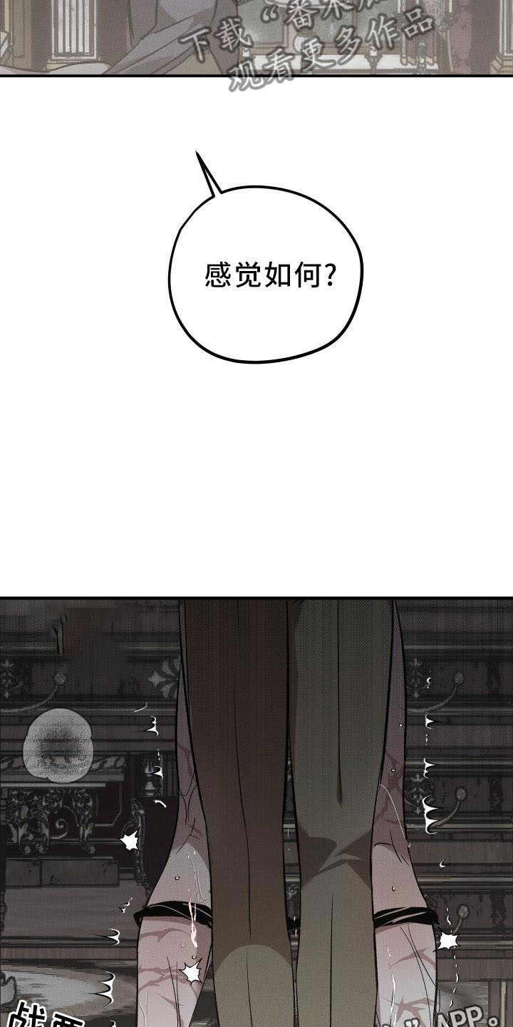 《偷心花园》第8章薰衣草花园惩罚 第22页
