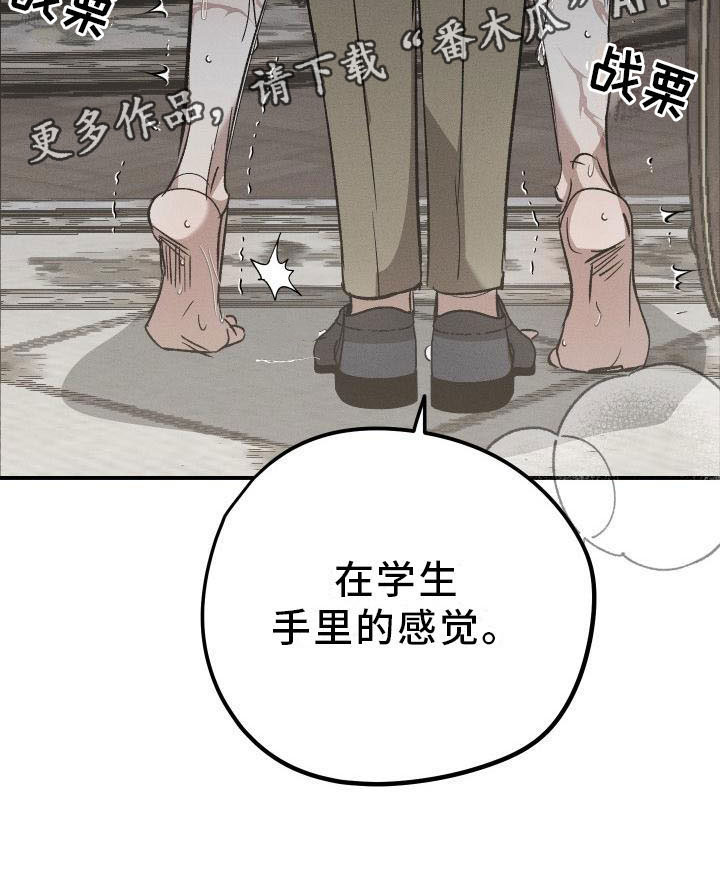《偷心花园》第8章薰衣草花园惩罚 第23页