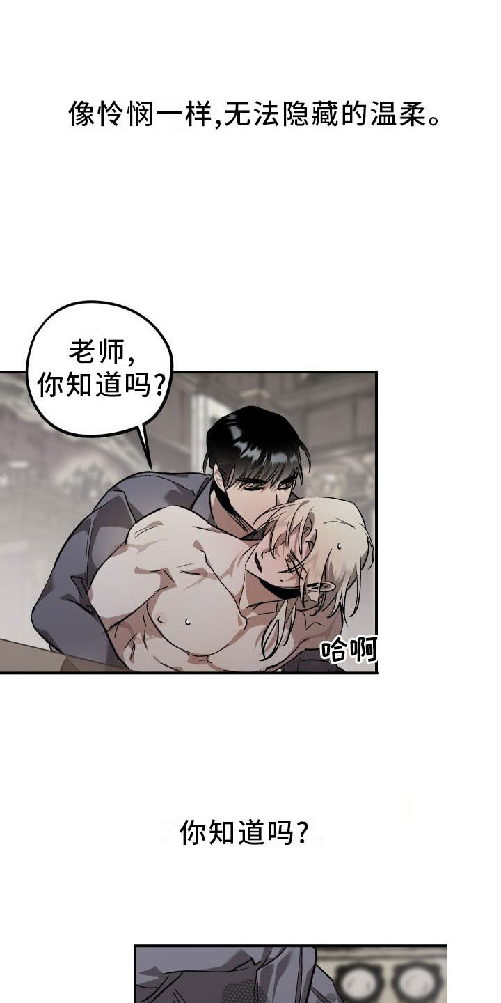 《偷心花园》第8章薰衣草花园惩罚 第8页