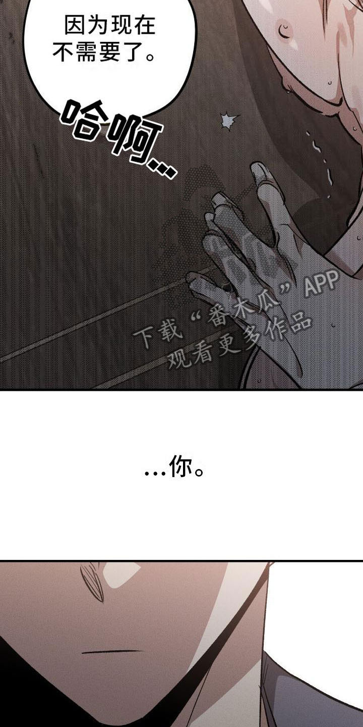 《偷心花园》第9章薰衣草花园主人 第11页