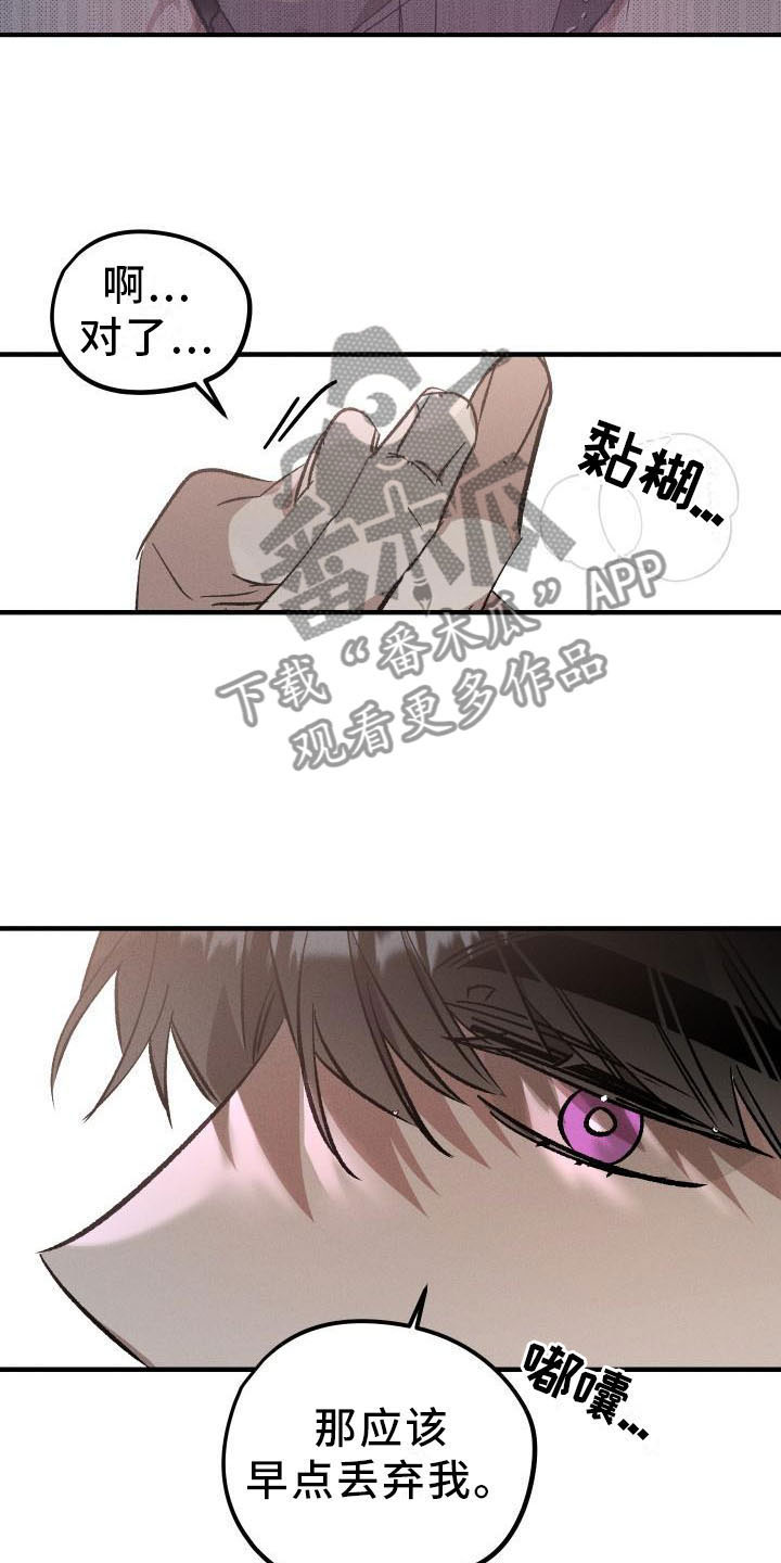 《偷心花园》第9章薰衣草花园主人 第15页
