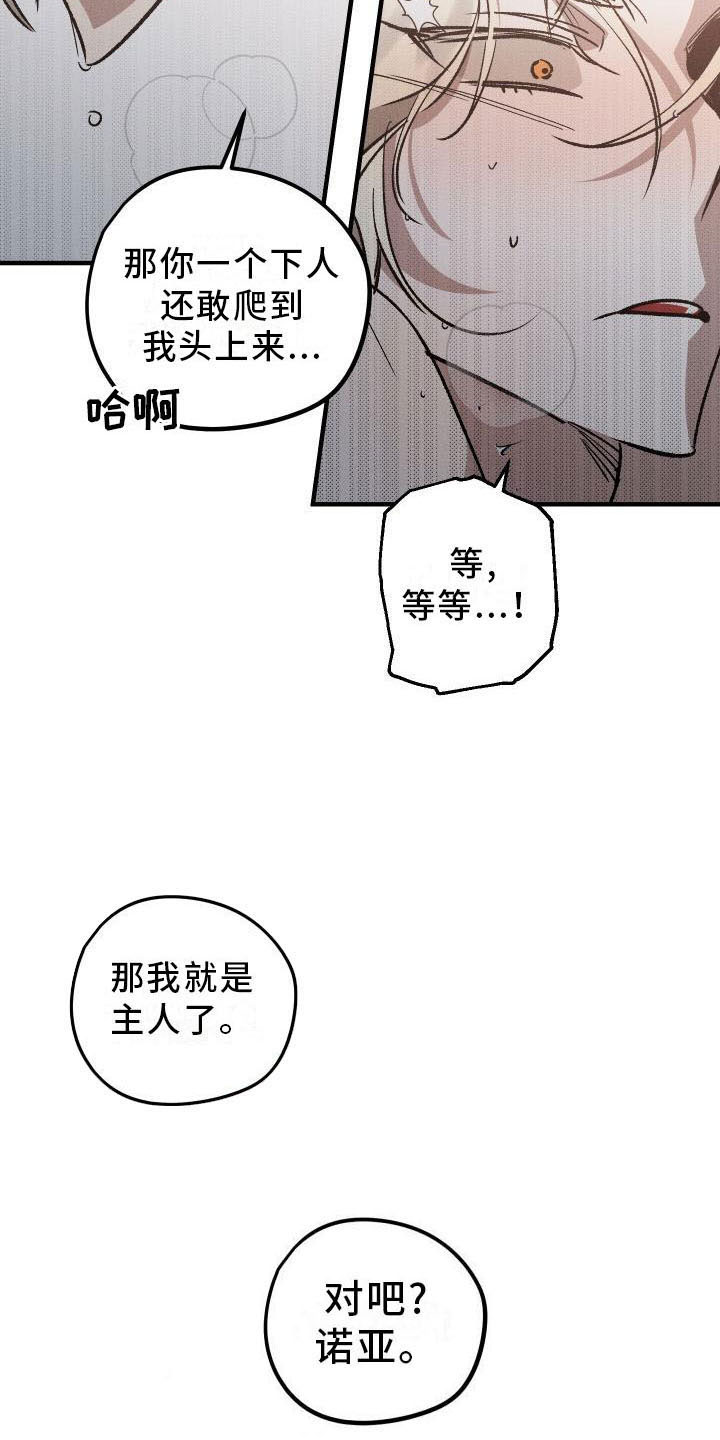 《偷心花园》第9章薰衣草花园主人 第19页