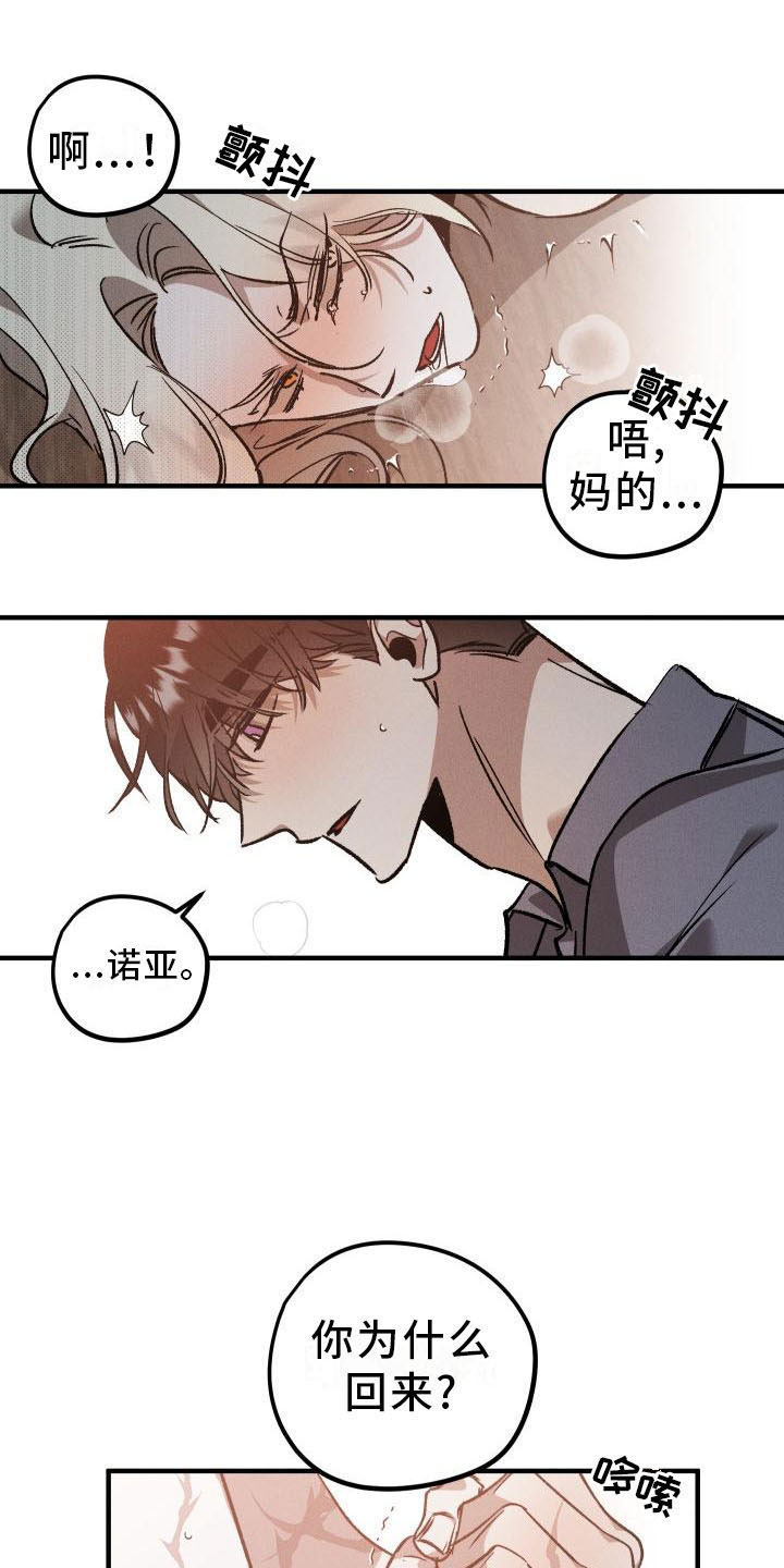 《偷心花园》第9章薰衣草花园主人 第1页