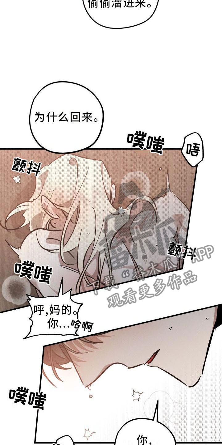 《偷心花园》第9章薰衣草花园主人 第6页