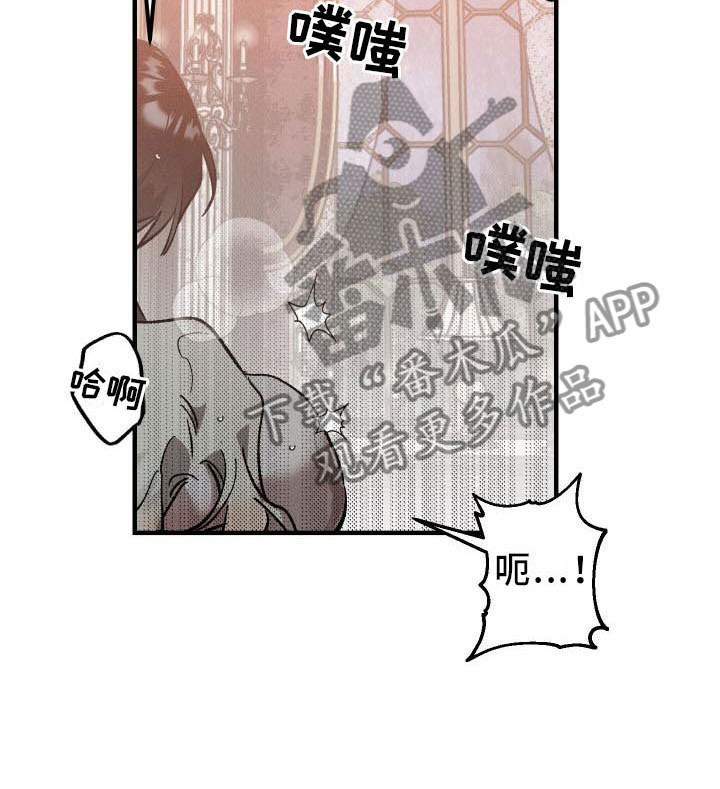 《偷心花园》第9章薰衣草花园主人 第8页