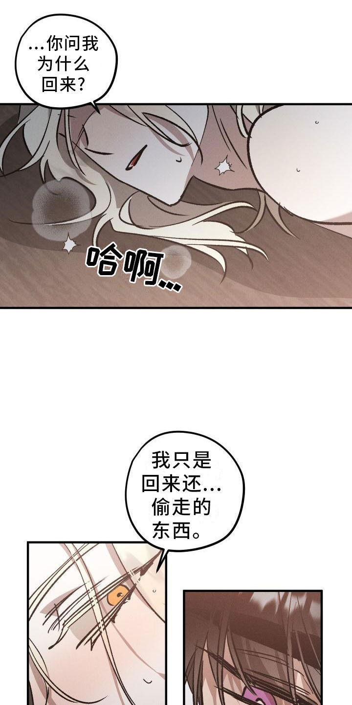 《偷心花园》第9章薰衣草花园主人 第9页