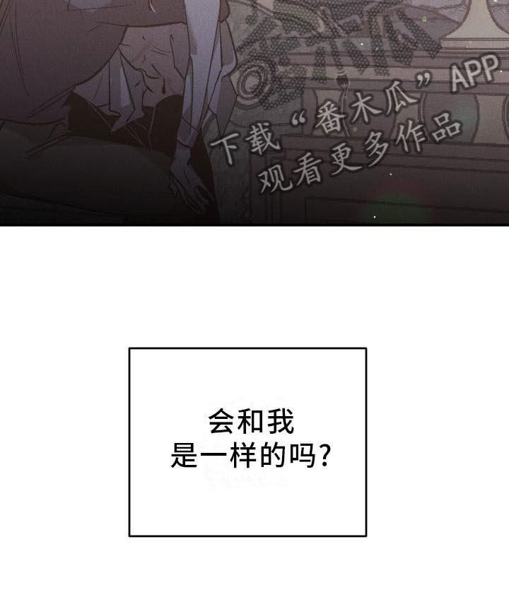 《偷心花园》第7章薰衣草花园喂药 第13页