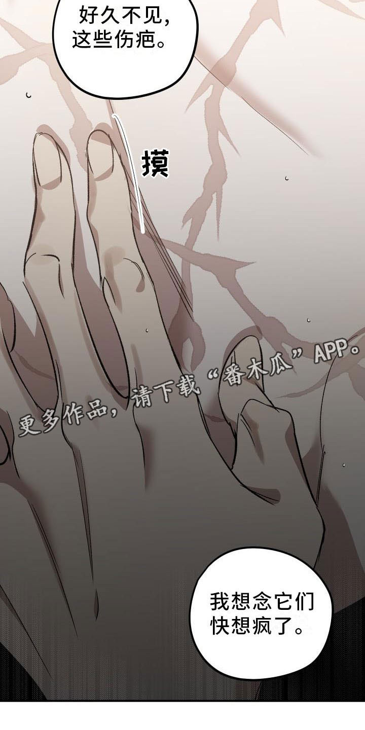 《偷心花园》第7章薰衣草花园喂药 第19页