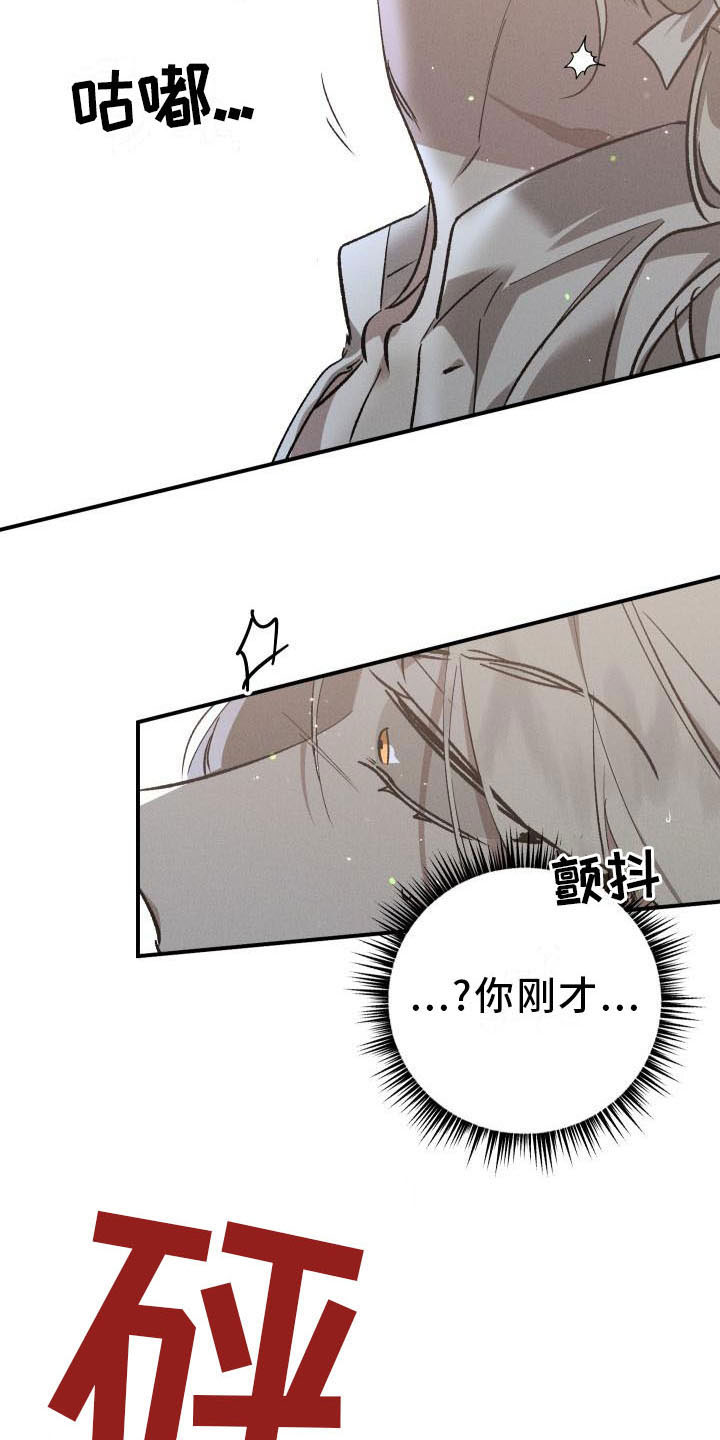 《偷心花园》第7章薰衣草花园喂药 第6页