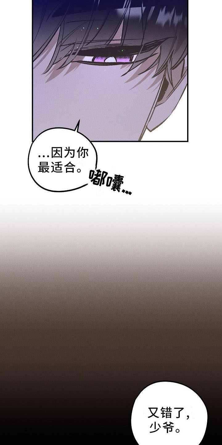 《偷心花园》第5章薰衣草花园鞭打 第13页