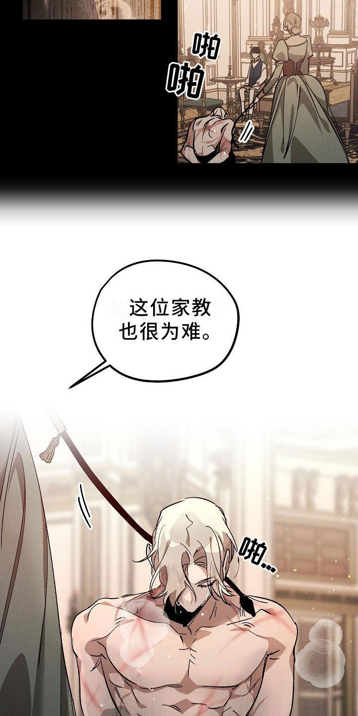 《偷心花园》第5章薰衣草花园鞭打 第15页