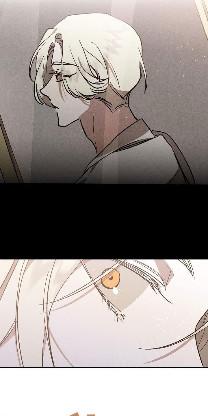 《偷心花园》第6章薰衣草花园别走 第24页