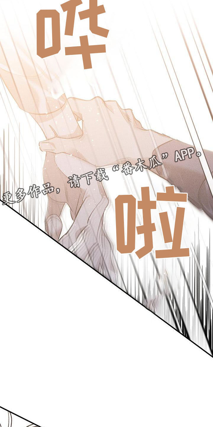 《偷心花园》第6章薰衣草花园别走 第25页