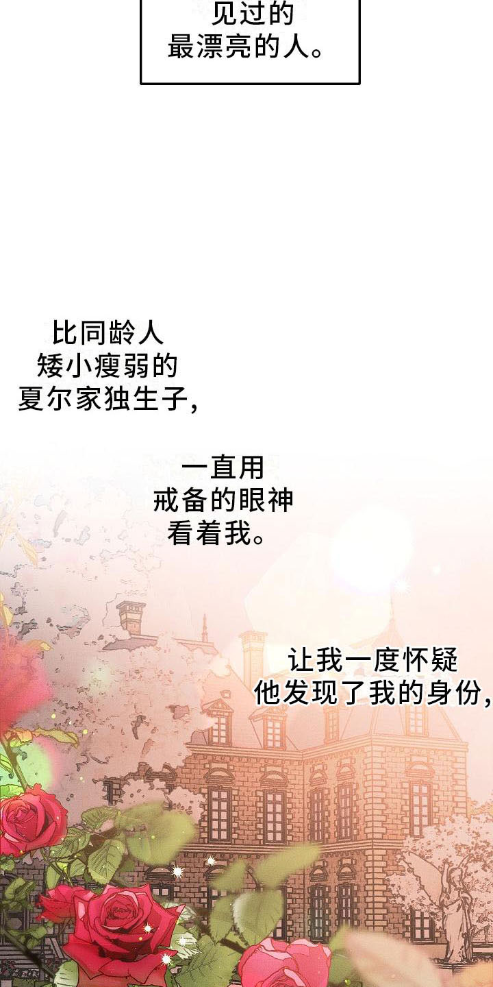 《偷心花园》第4章薰衣草花园盗窃 第10页
