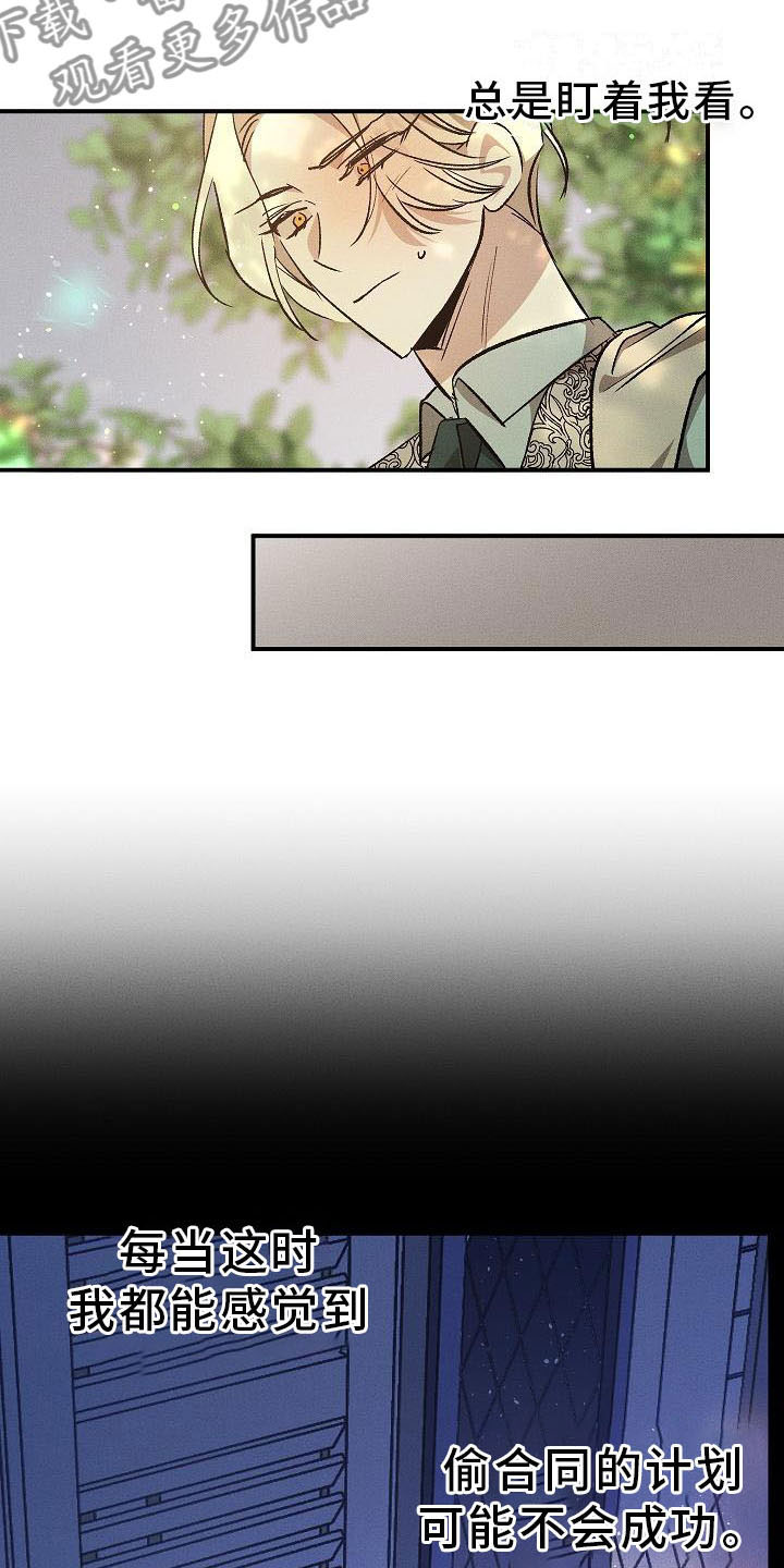 《偷心花园》第4章薰衣草花园盗窃 第12页