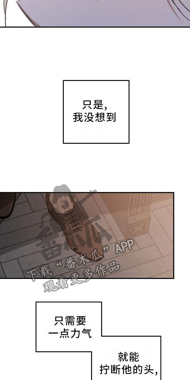 《偷心花园》第4章薰衣草花园盗窃 第7页