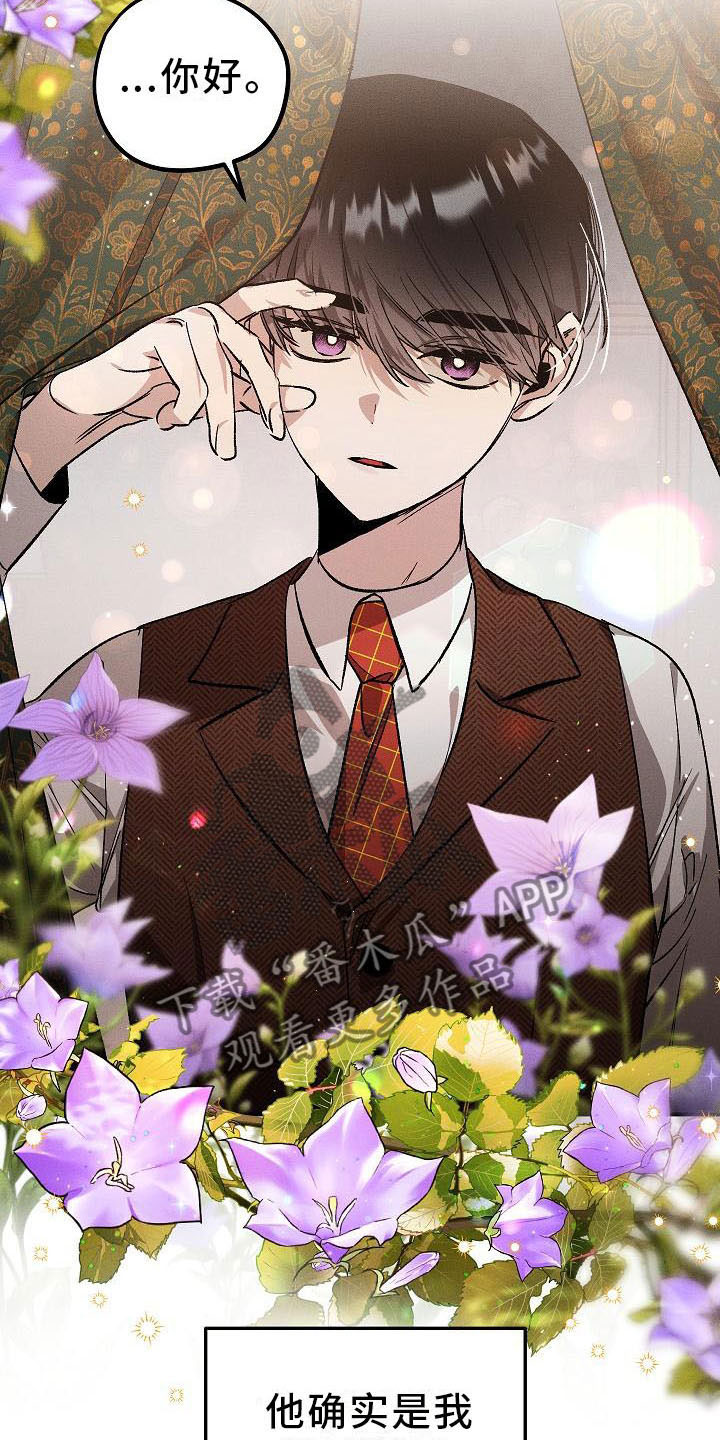 《偷心花园》第4章薰衣草花园盗窃 第9页