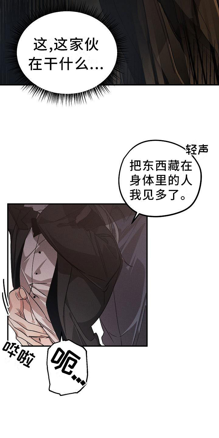 《偷心花园》第3章薰衣草花园掉落的面具 第11页
