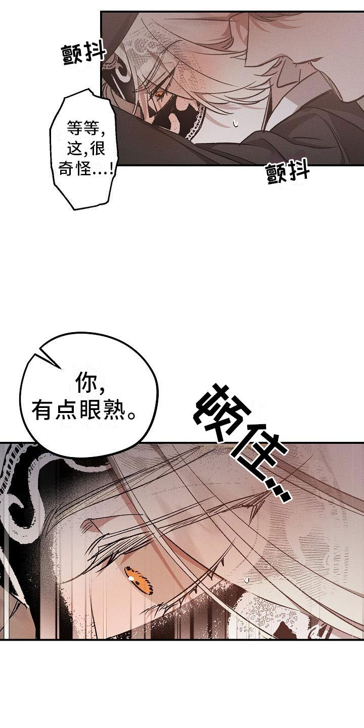 《偷心花园》第3章薰衣草花园掉落的面具 第12页
