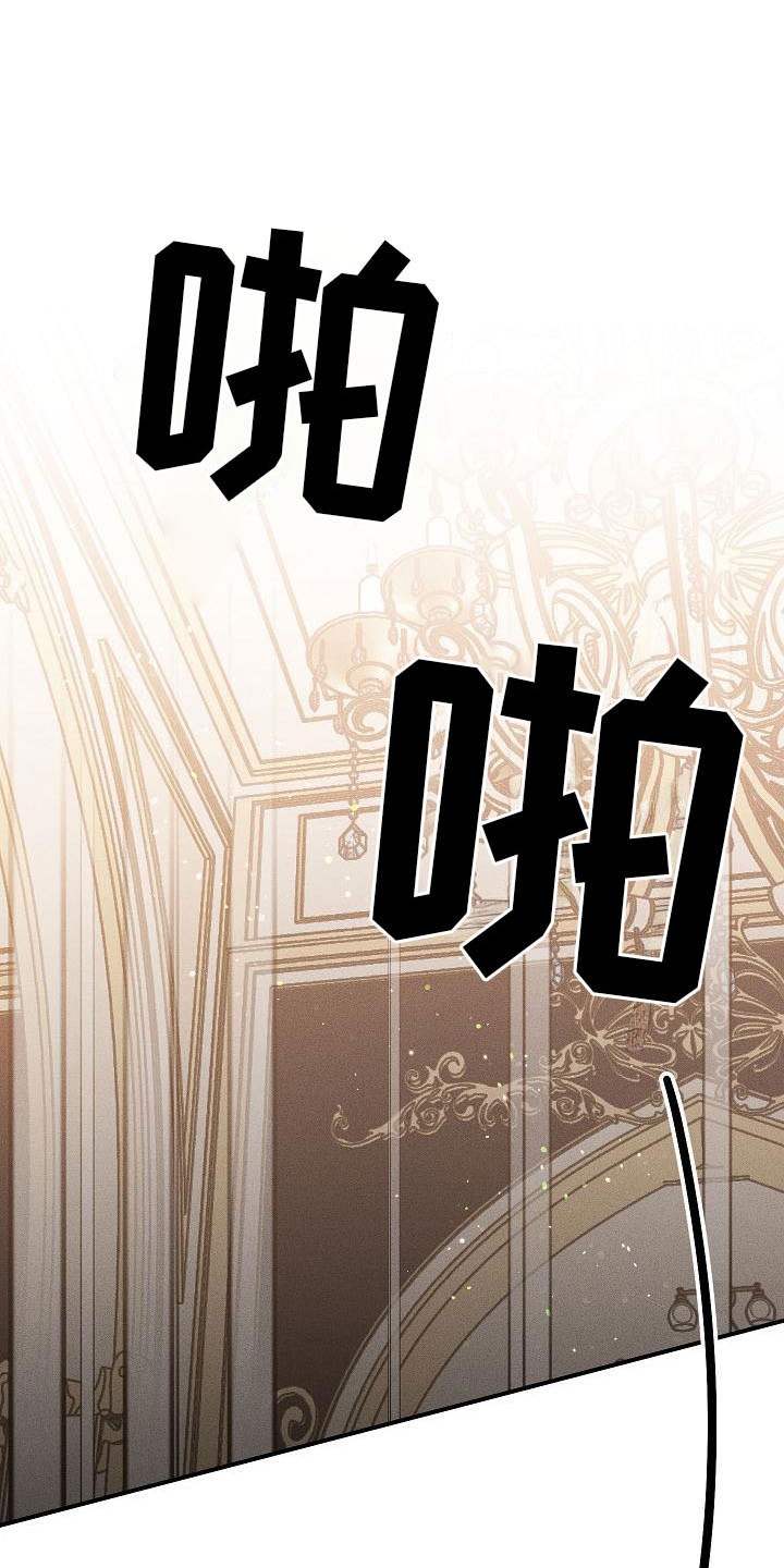 《偷心花园》第3章薰衣草花园掉落的面具 第13页