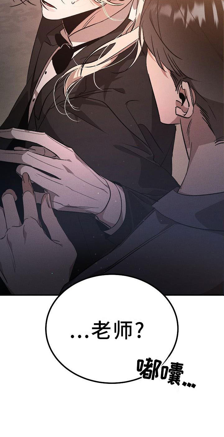 《偷心花园》第3章薰衣草花园掉落的面具 第16页