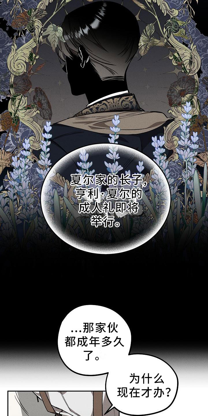 《偷心花园》第1章薰衣草花园紫宝石 第17页