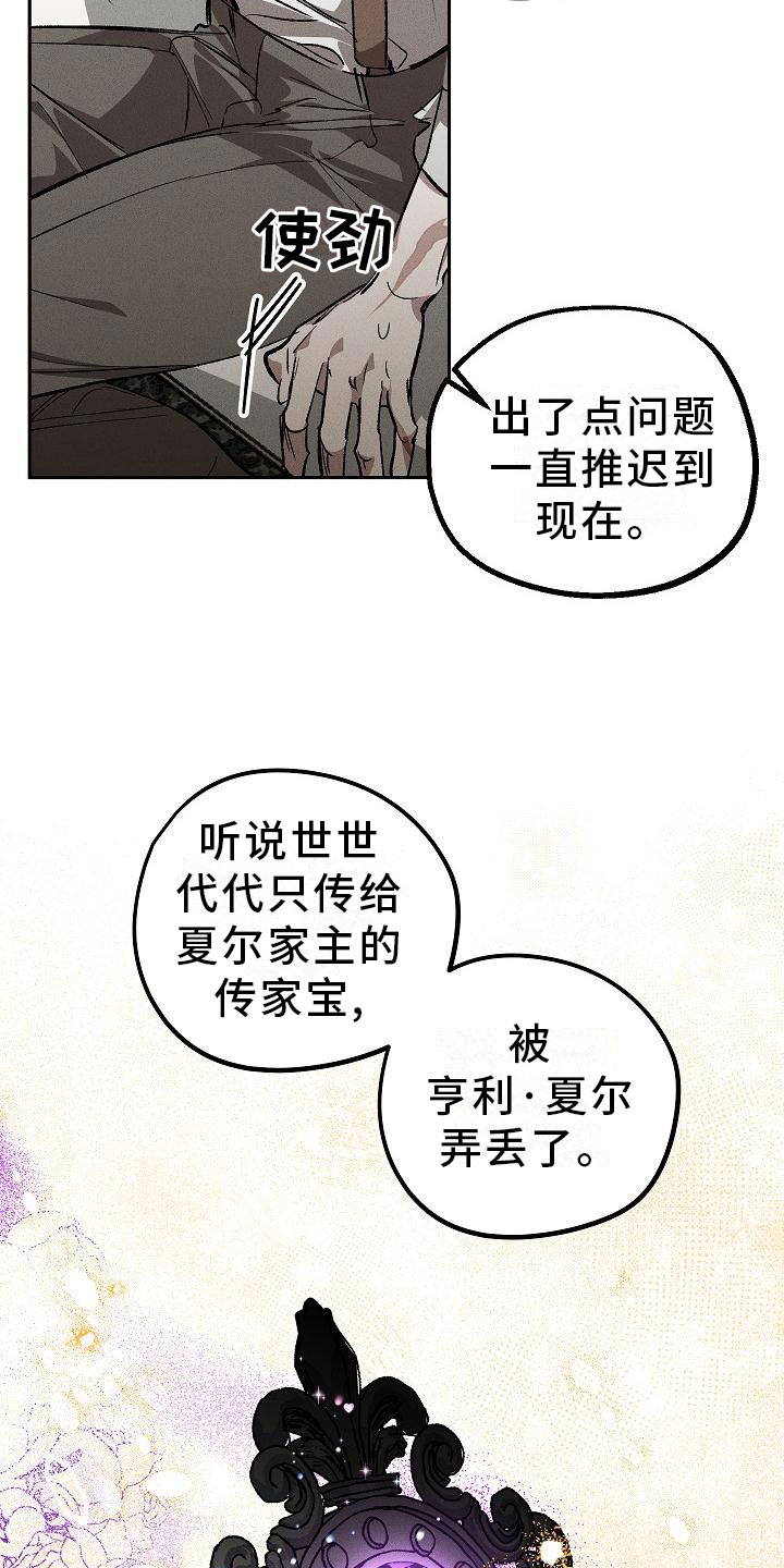 《偷心花园》第1章薰衣草花园紫宝石 第18页