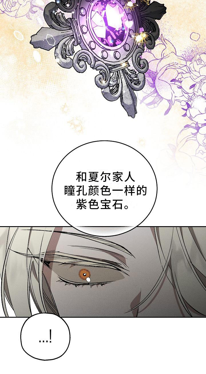 《偷心花园》第1章薰衣草花园紫宝石 第19页