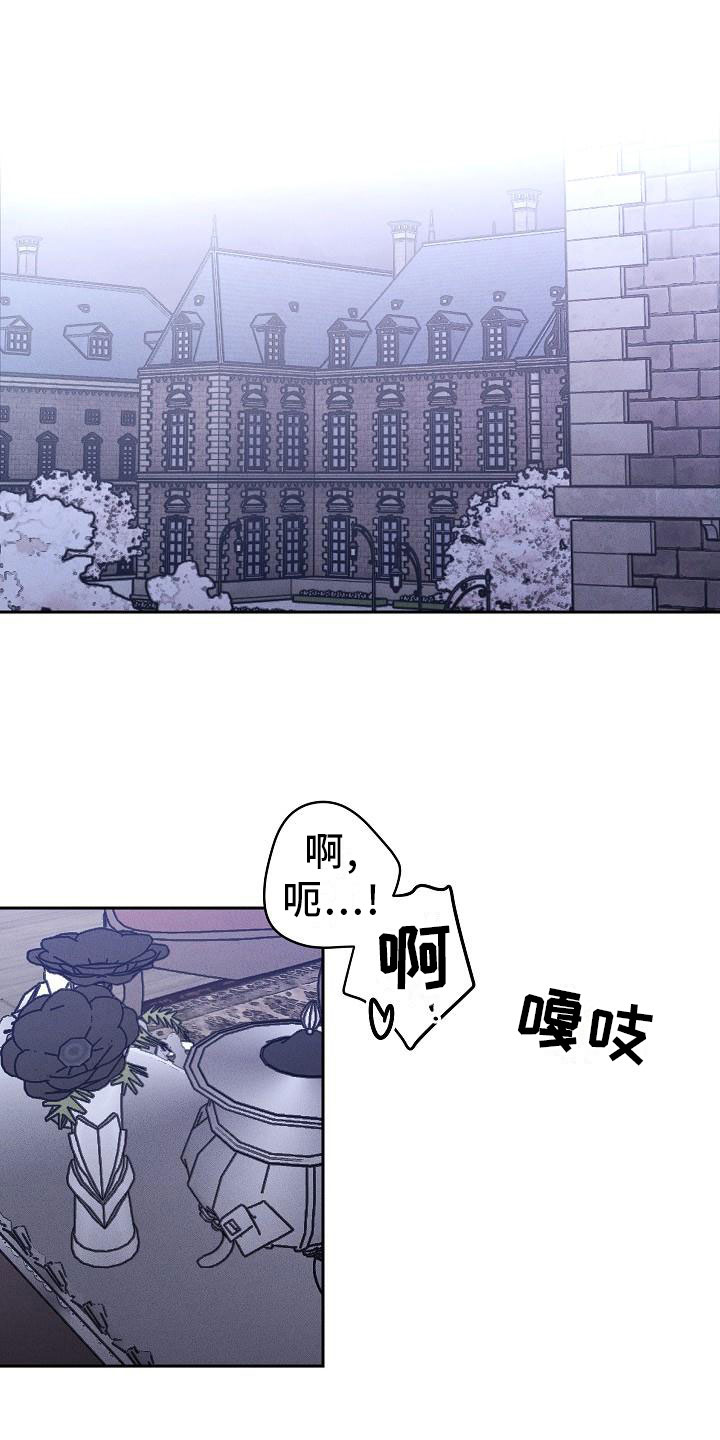 《偷心花园》第1章薰衣草花园紫宝石 第2页