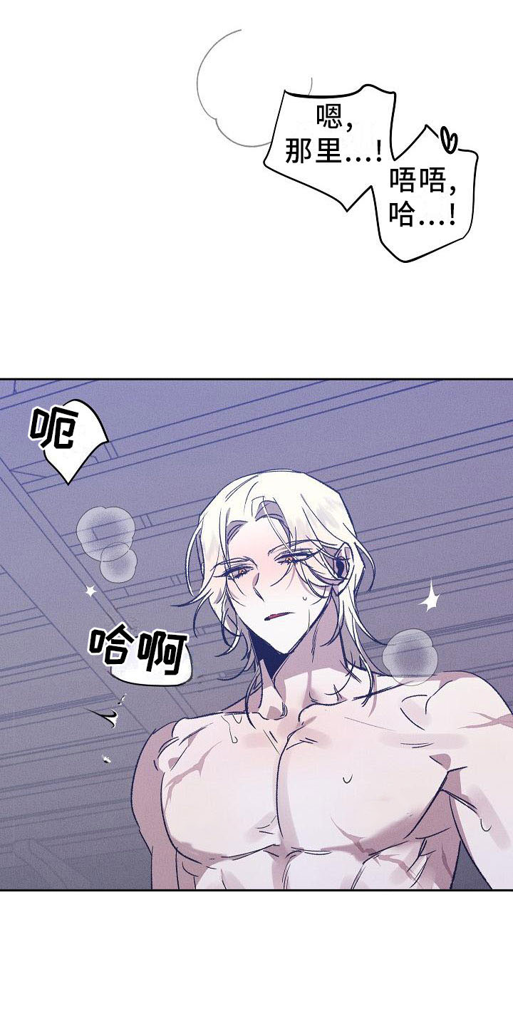 《偷心花园》第1章薰衣草花园紫宝石 第3页