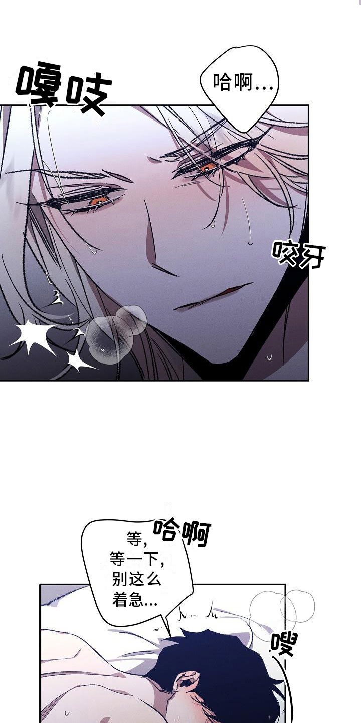 《偷心花园》第1章薰衣草花园紫宝石 第4页