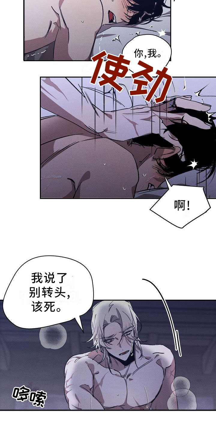 《偷心花园》第1章薰衣草花园紫宝石 第5页