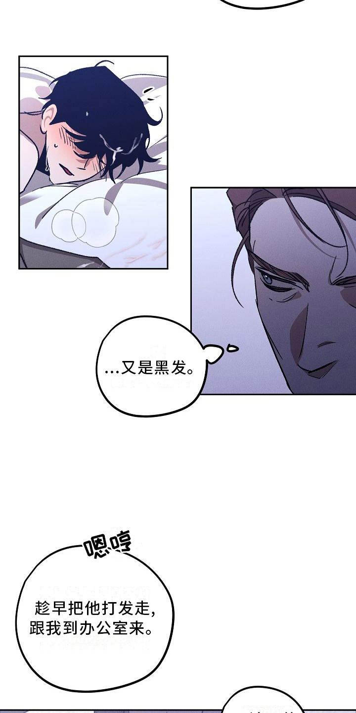 《偷心花园》第1章薰衣草花园紫宝石 第9页
