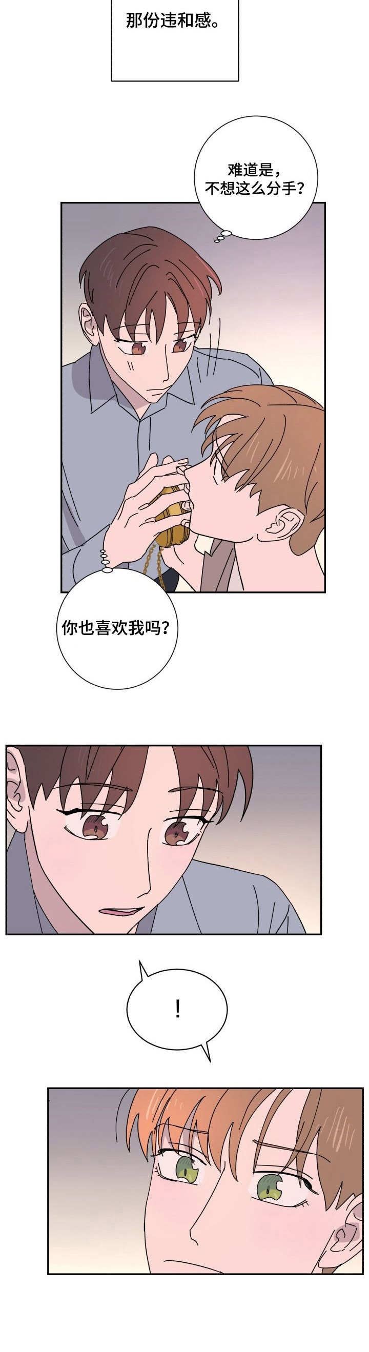 《怪盗与侦探》第33章违和 第6页