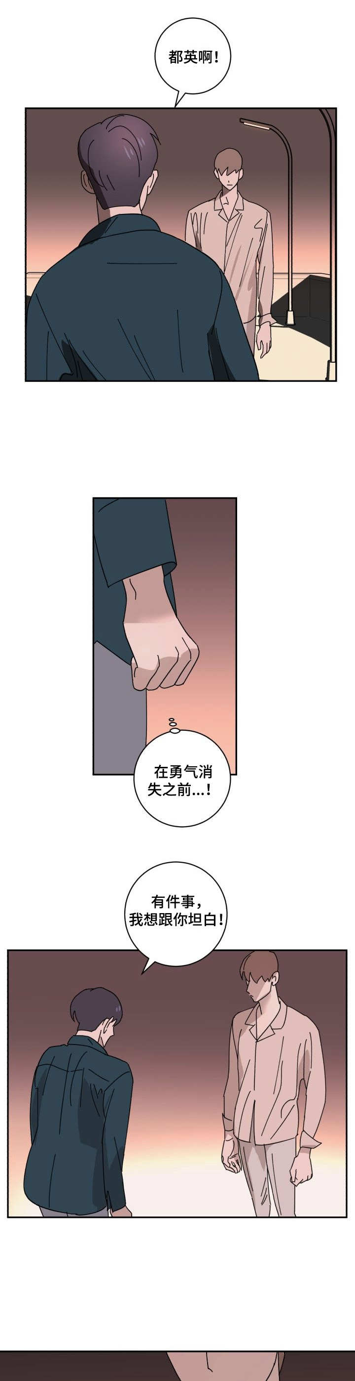 《怪盗与侦探》第26章坦白 第6页