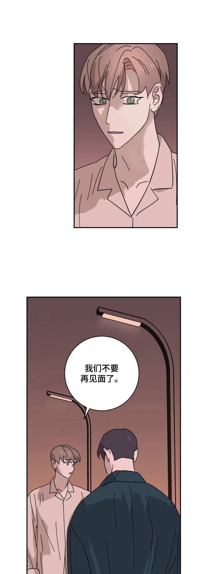 《怪盗与侦探》第26章坦白 第9页