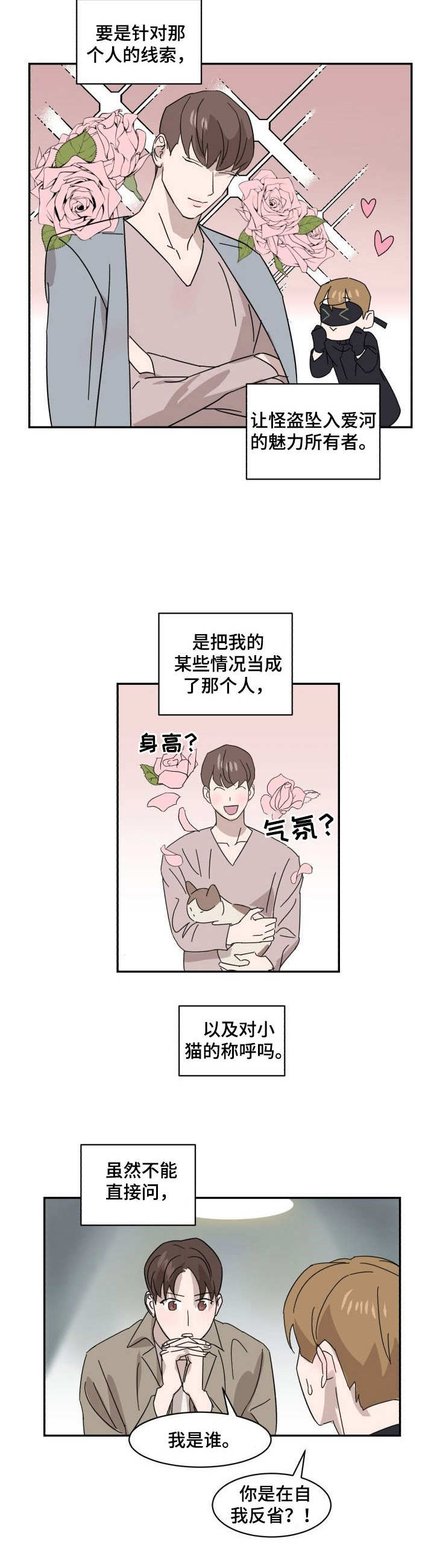 《怪盗与侦探》第15章调查 第2页